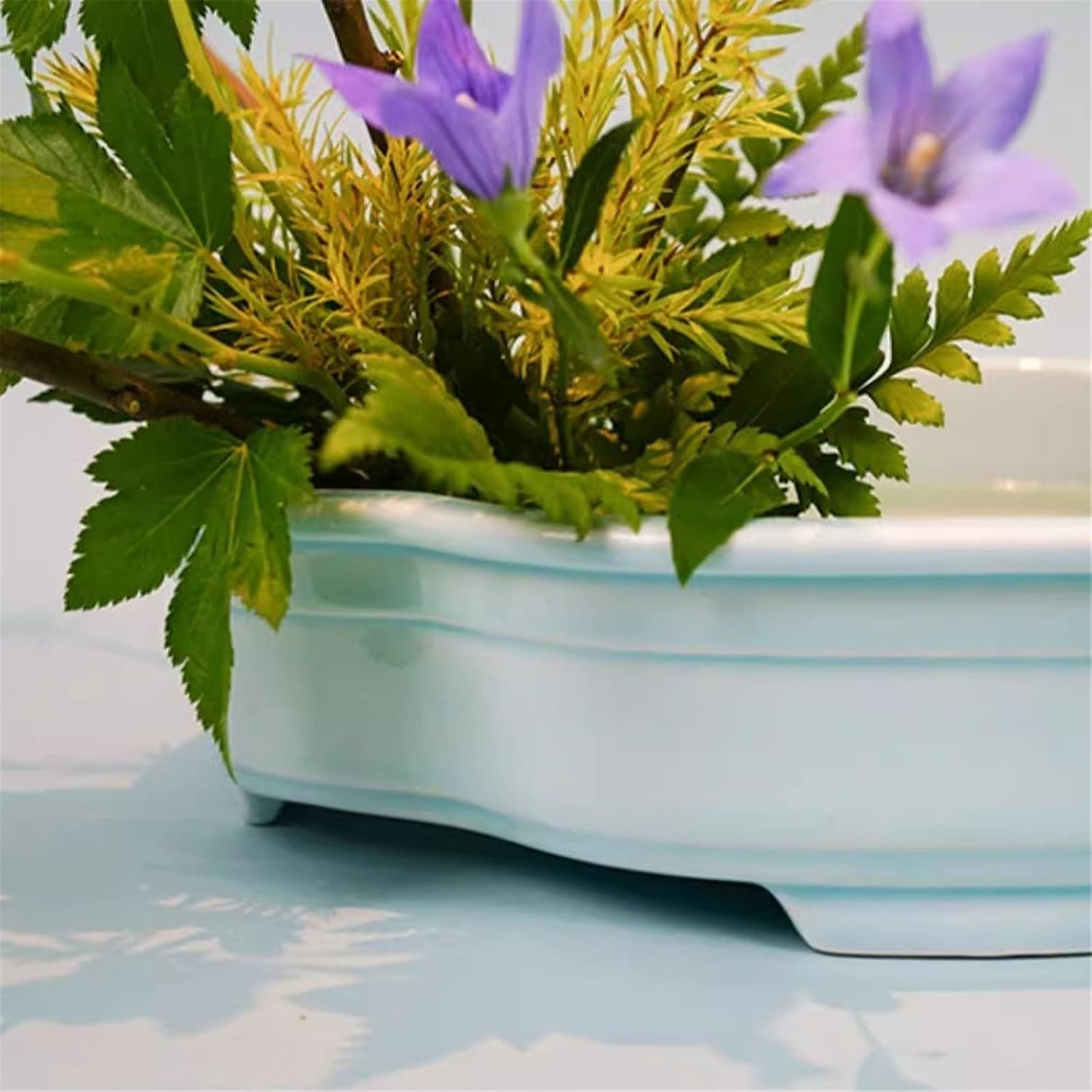 Ikebana Vase Tabletop Creativity Flower Arranging Decor Saucer with Floral Pins Flowerpot Drip Tray Flower Arrangement Pot