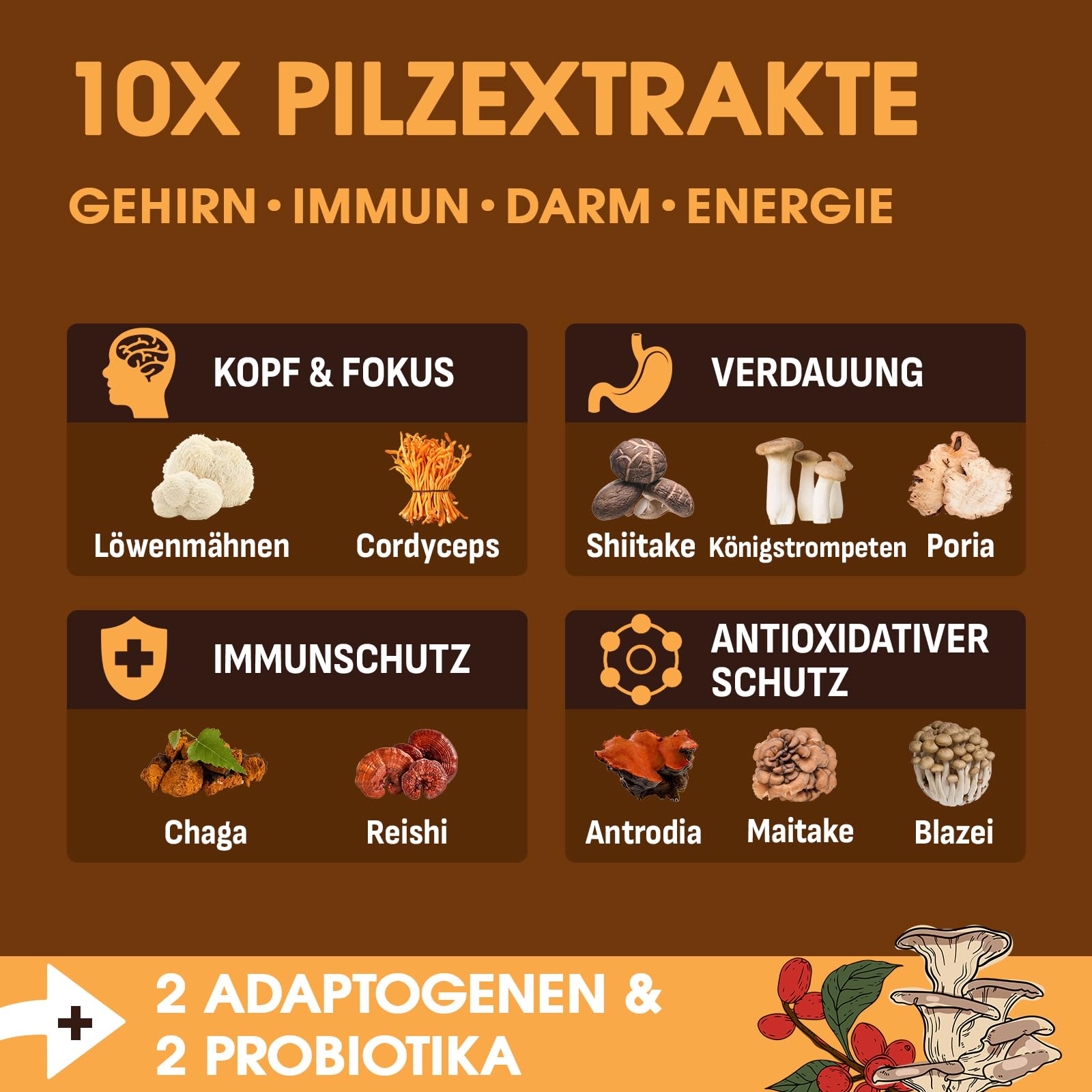 Pilzkaffee – Mushroom Coffee mit 10 Pilzen, Adaptogenen & Probiotika, Instant-Arabica-Kaffee mit Löwenmähne, Chaga, Reishi, Cordyceps & mehr, Pilz-Extrakt-Pulver, 150 g