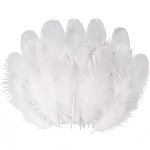 White Craft Rooster Feathers 900pcs 3-5inch Colored Bulk Feathers Natural Feathers for Crafting Kindergarten DIY Crafts,Home Wedding Party Decoration,Dream Catcher Supplies - White