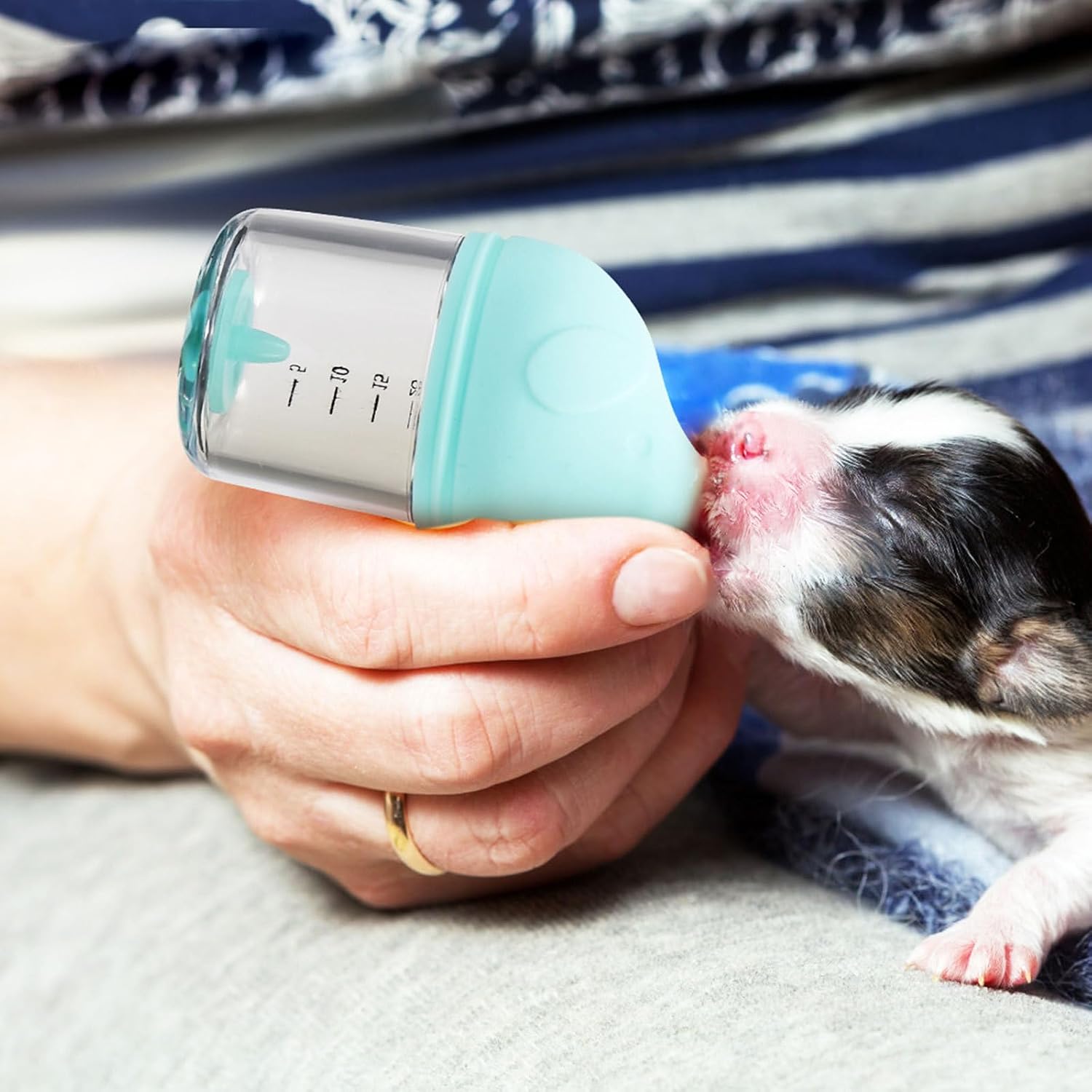 YARNOW Small Animal Feeder Bottles for Newborn Puppy Kitten 50 ml Leak Proof Pet Feeding Bottle Cat Dog Medicine Dispenser Portable Nursing Supplies