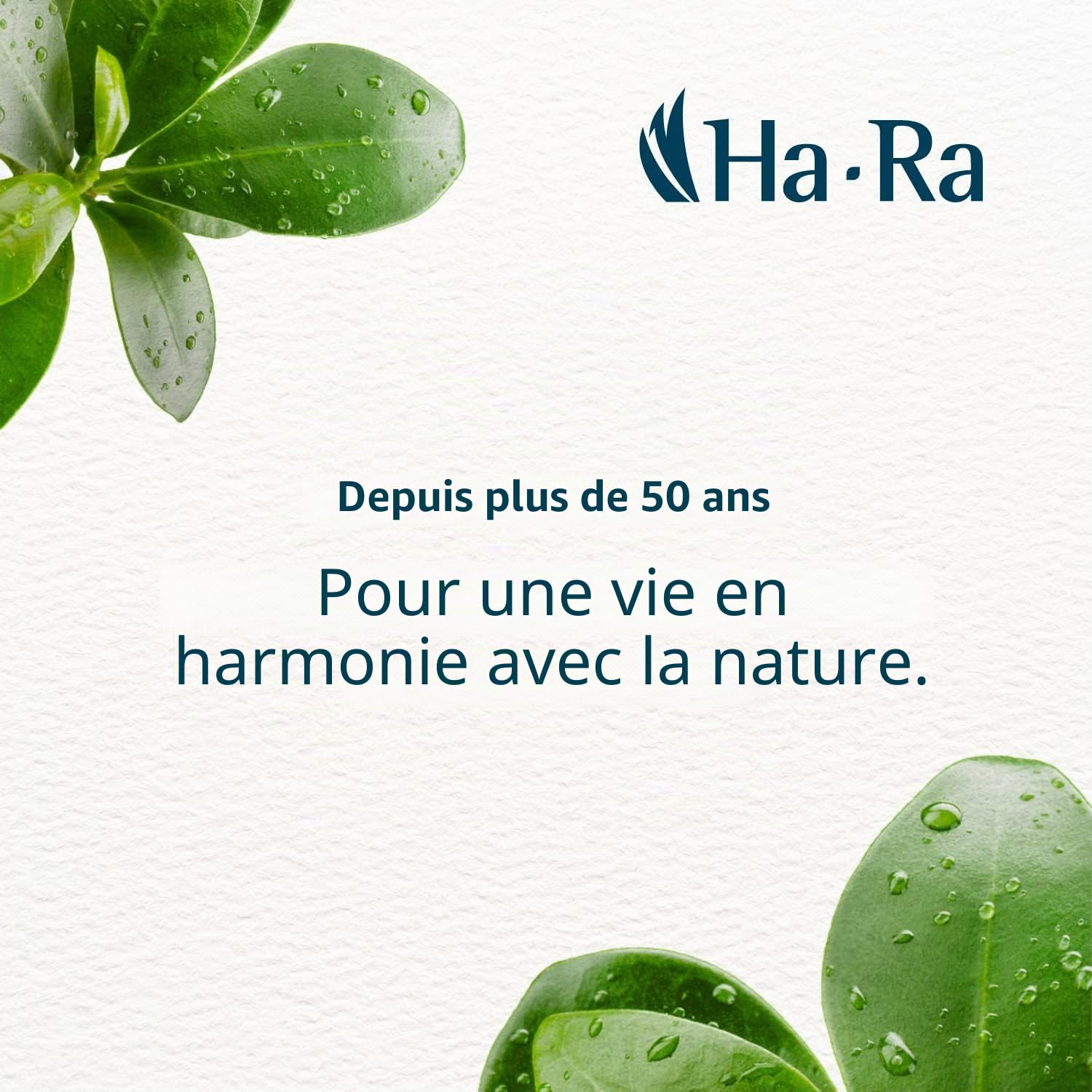 Ha-Ra Mach 6 Serpillère 42 cm – L'original de