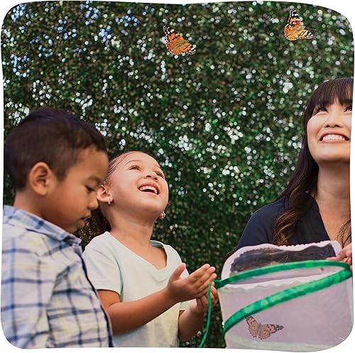 Miniatura 6 de Jardín Insect Lore para mariposas vivas NA