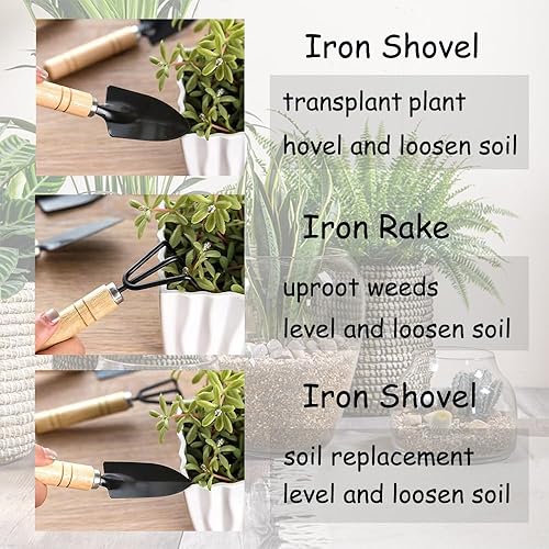 Miniatura 3 de Juego de herramientas de jardín, 3 piezas, kit de suculentas de jardinería, asas de madera para pala de mano pequeña, pala de trasplante,