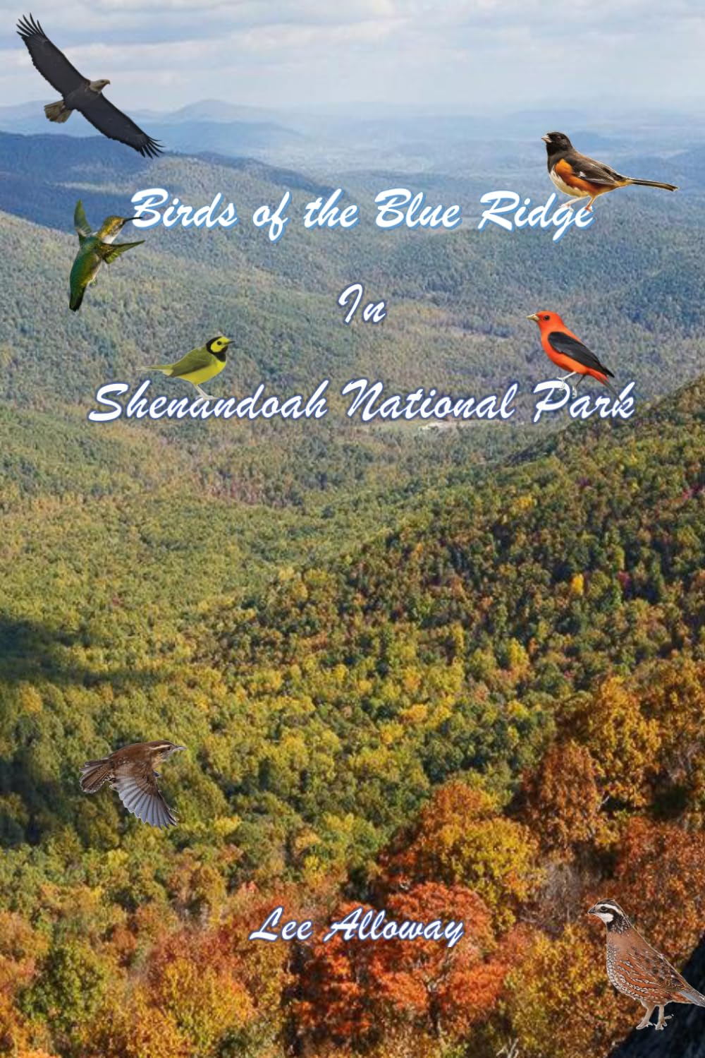 Birds of the Blue Ridge: In Shenandoah National Park