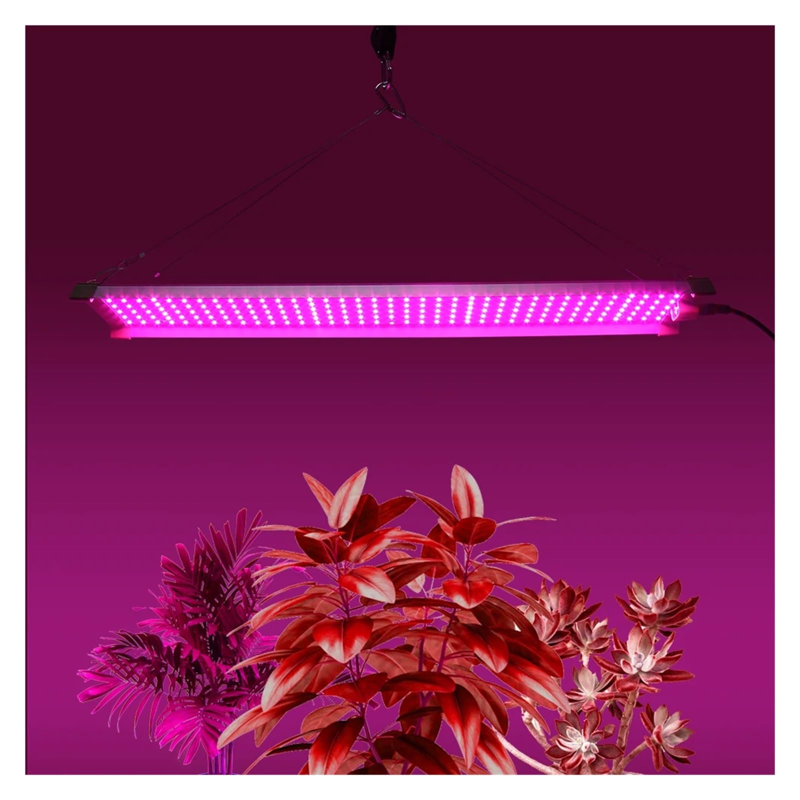 Lámpara de Cultivo, Luz LED de Cultivo LM282B, 85W, Espectro Completo, luz de Cultivo de Plantas for Invernadero, Semillas de Flores, Plantas, plántulas de Flores(QB85W56CMW)