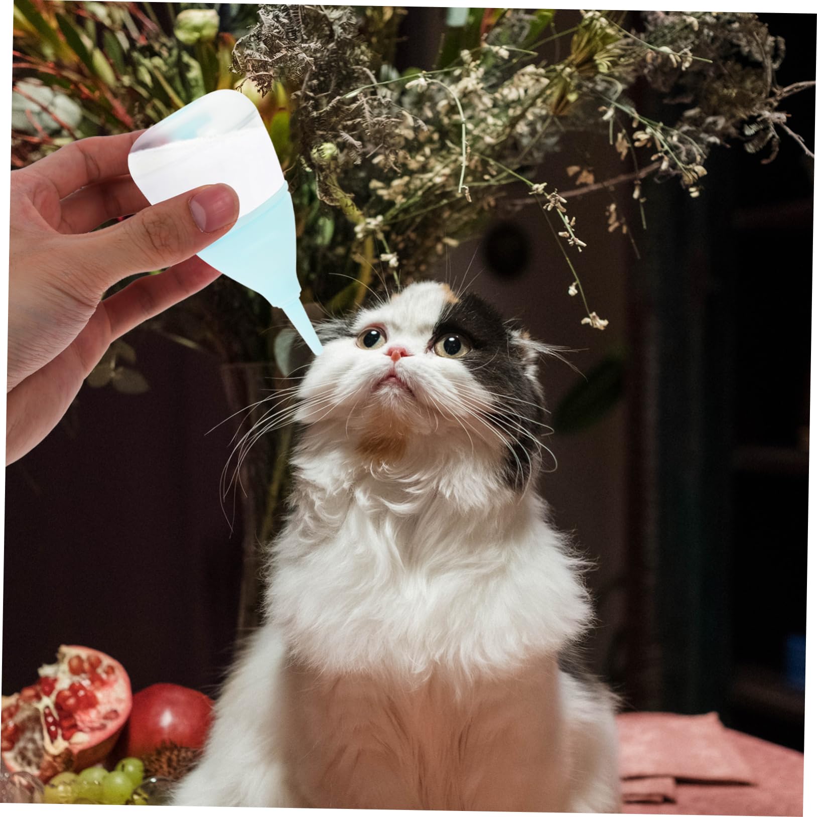 SEWOART Pet Feeding Machine Puppy Kitten Nursing Bottle Small Cat Milk Bottle Pet Accessories