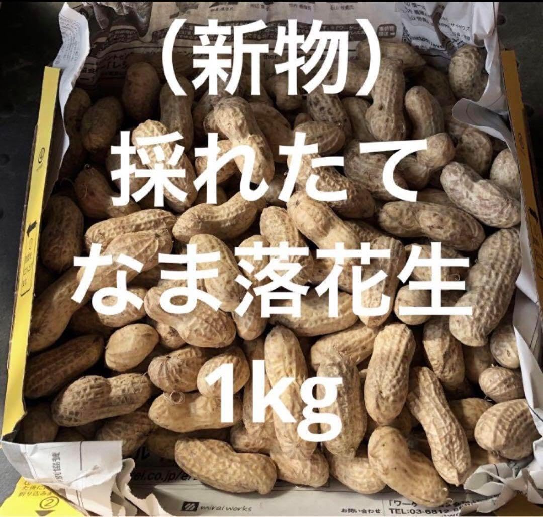 新物 採れたて 生落花生 1kg（箱込）Ａ8 13 予定