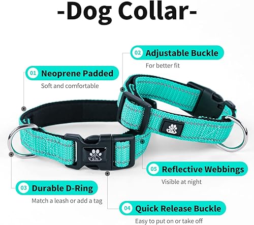 Miniatura 4 de IVY&LANE Juego de collar y correa reflectante para perro, collares de perro acolchados de neopreno ajustable para cachorros, collar de nailon