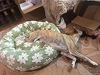 Review Image by heyshadylady heyshadylady