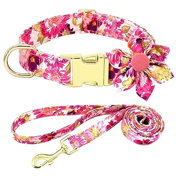 Girl Dog Collar and Leash Set, Soft Adjustable Dog Collar with Detachable Flower and Safety Buckle, Dog Collar for Small Dogs, Fit Necks: 11.5??-18??, Pink Dog Collar, DALUZ (Collar+Leash 2PCS)