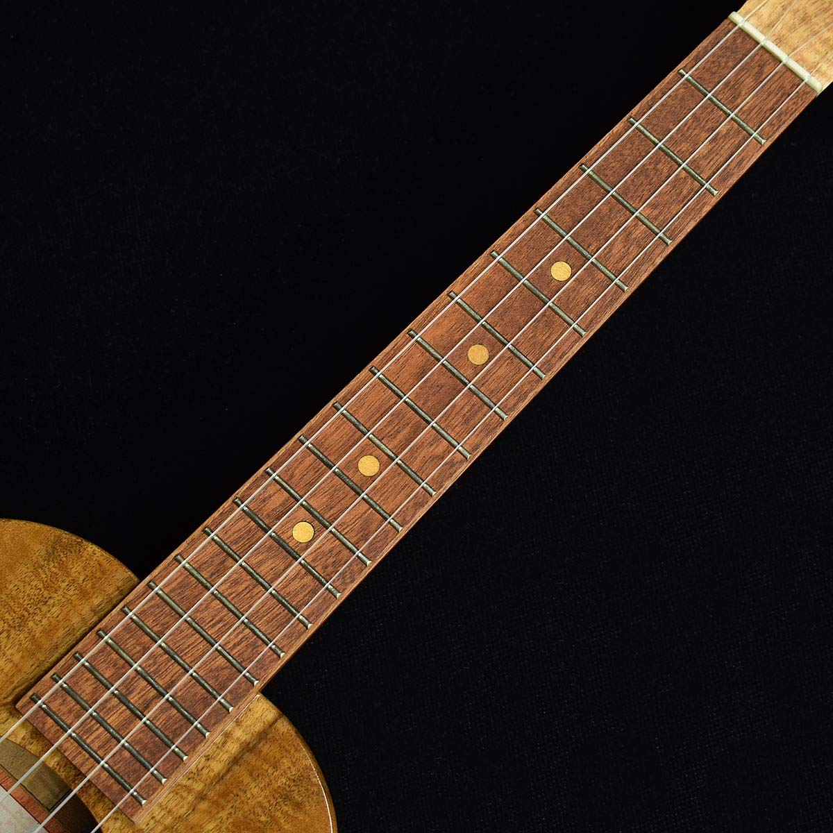 Amazon.co.jp: KoAloha Opio KTO-10 UG Tenor 【アカシアコア材 