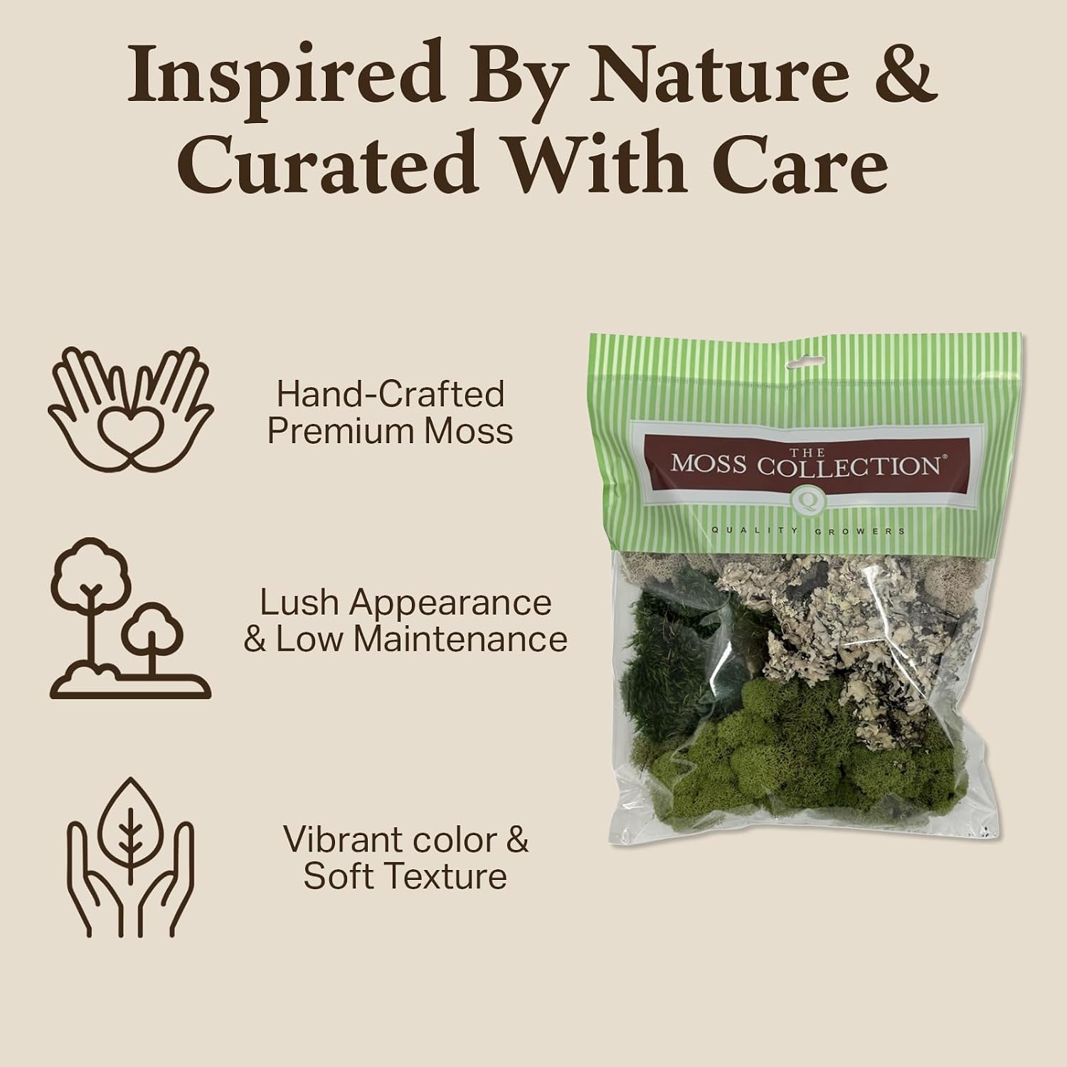 Quality Growers - The Moss Collection Variety Pack - Natural Decorative Moss - Crafts, Home Decor, Art, Design & DIY Projects - Non-Toxic - Made in USA - Original, Medium, 2-Pack
