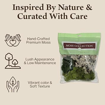 Quality Growers Variety Mix Moss, Preserved Moss, Original, Medium 2-Pack