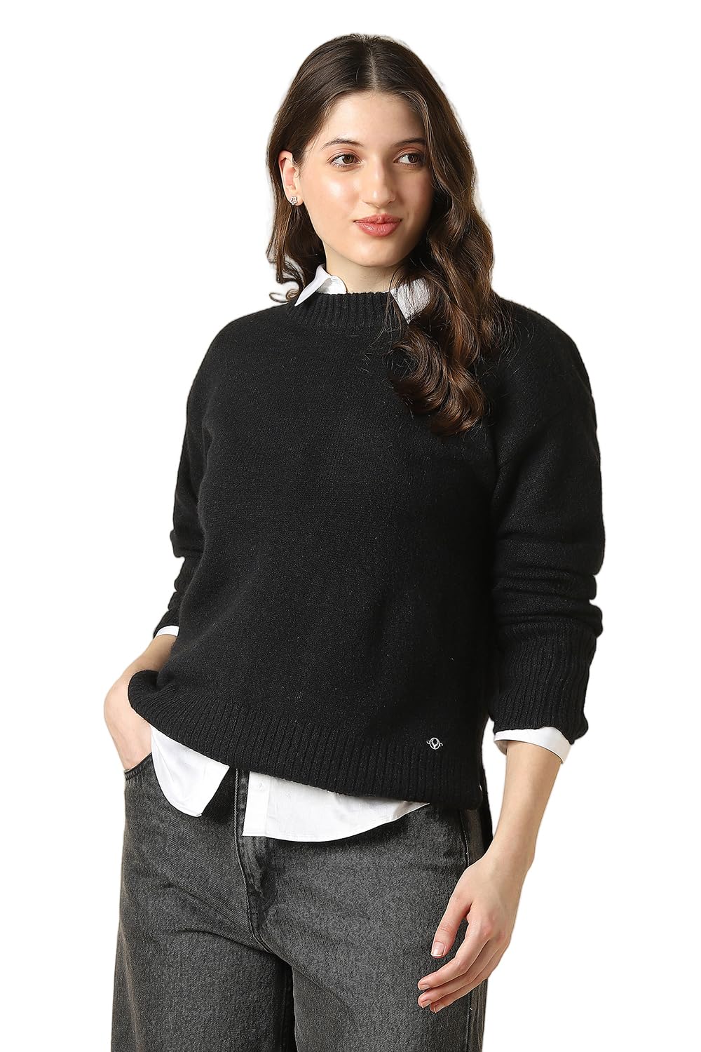 allen solly Women Sweater-picture-35