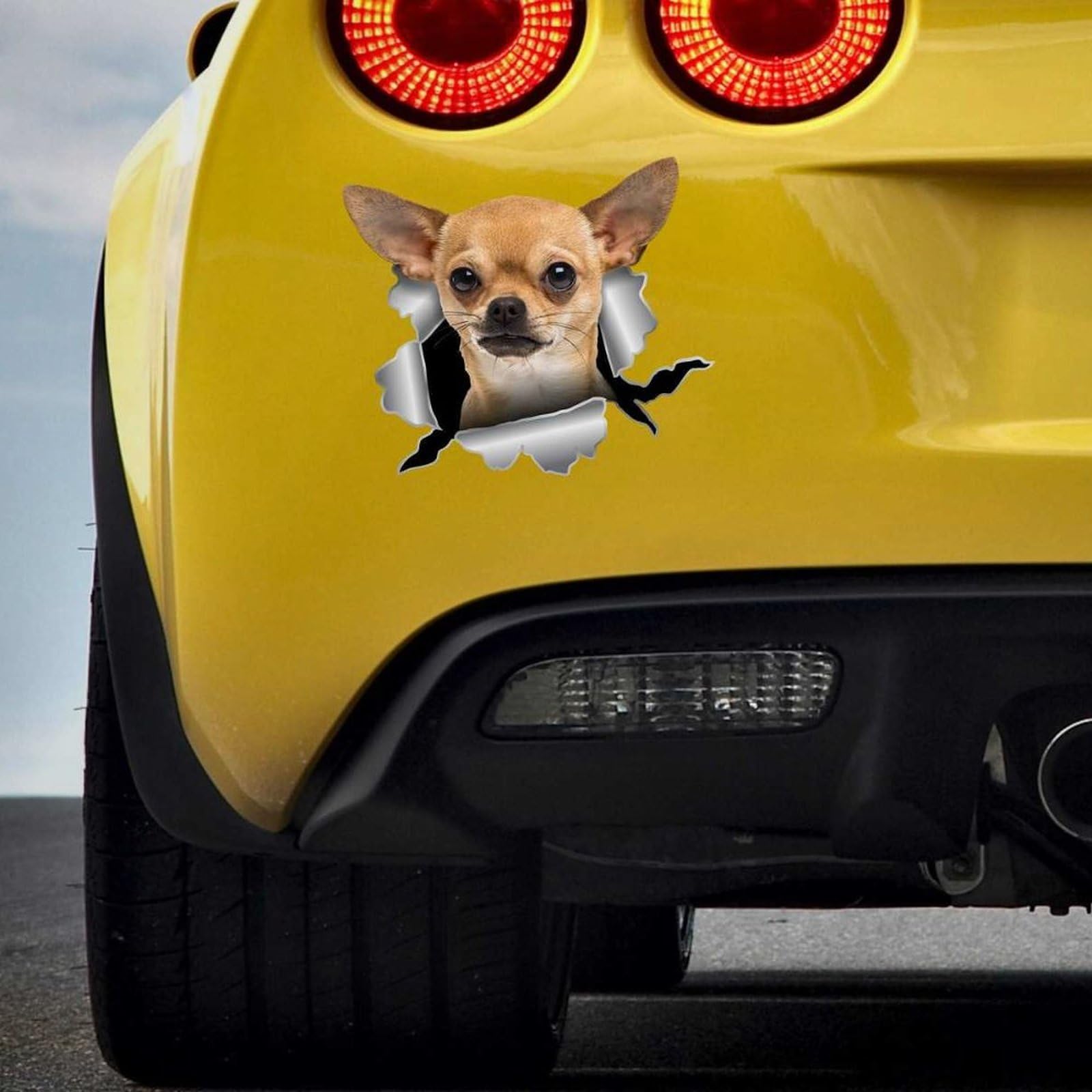 Madcolitote Chihuahua Car Window Sticker Growling Chihuahua 3D Vinyl Die Cut Decals Funny Laptop Bumper Stickers Animal Pet Gift,14 Inch