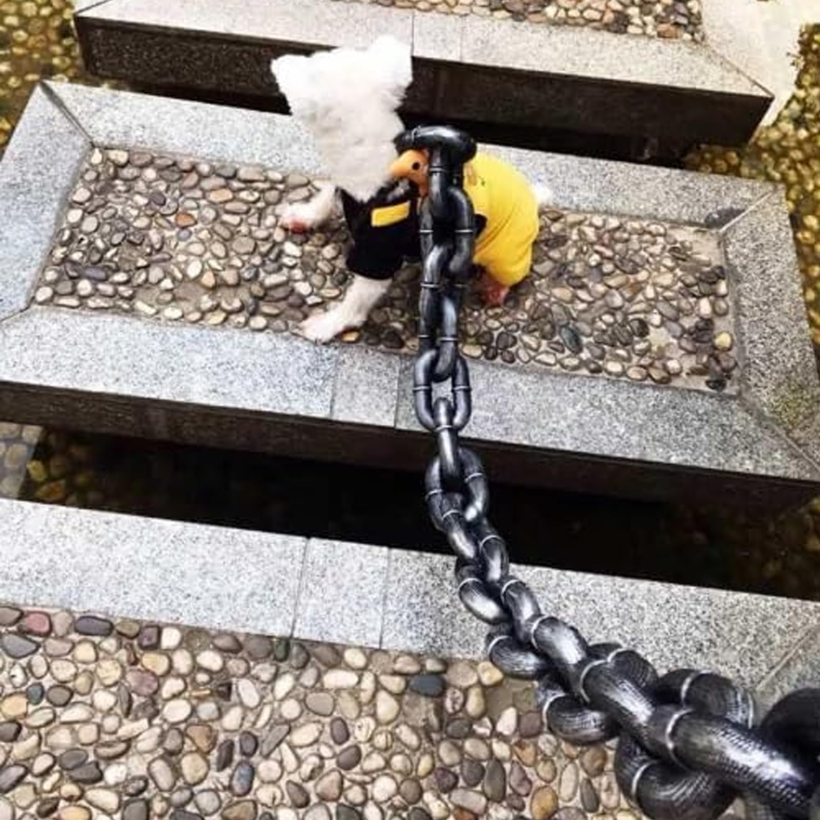 Correa de Cadena con Forma de Pata de Hierro, Divertida Correa de Cadena para Perros Grandes de Hierro para Perros/Gatos pequeños, Accesorios Ligeros para fotografías (Black,7ft)