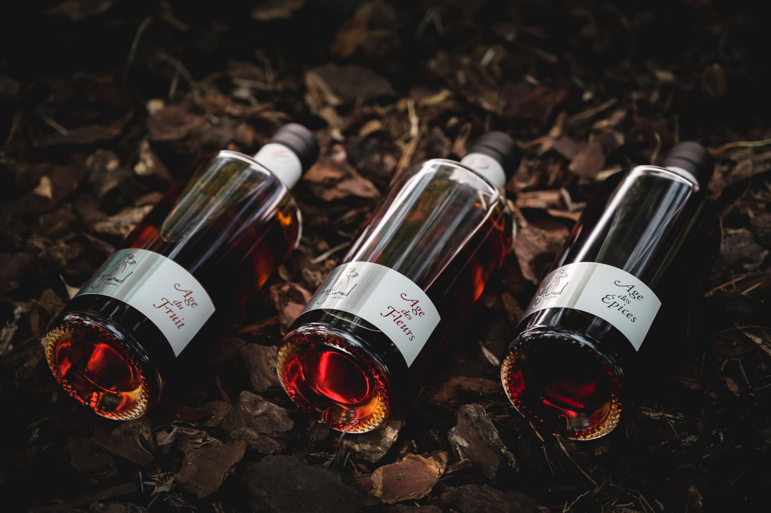 Leopold Gourmel Cognac Age des Epices 20 Years in Gift Box (1 x