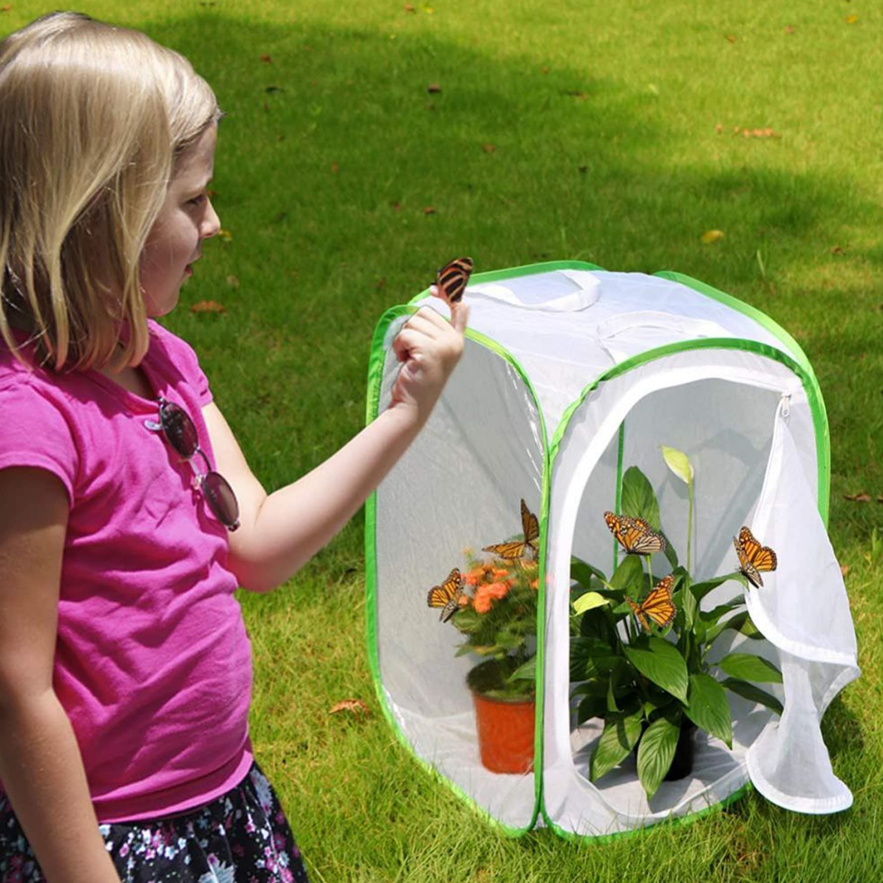 Yeory Butfly reproduisant Net Pliage Habitat Habitat Cage de Papillon Blanc Cage de Papillon pour Enfants Garden Science Education Tool 40x40x60cm, Cage Papillon