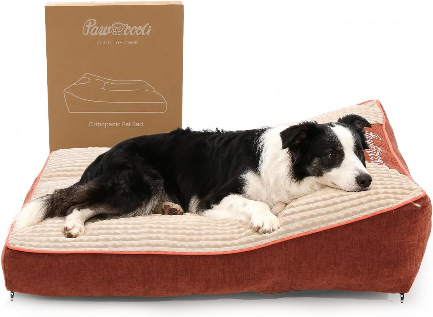 Dog Beds Large Sized Dog - Comfy Flat Pet Beds with Removable Washable Cover, Orthopedic Foam Puppy Mat with Pillow Suitable for Pet Up to 65 lbs(36''×24''×5'')