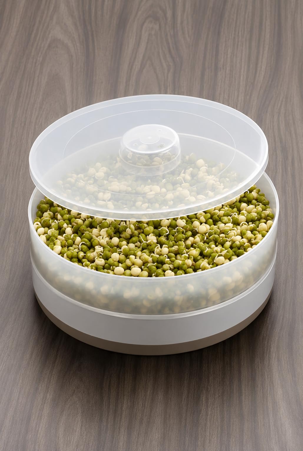 Fivanio ABS Plastic Sprout Maker Box - Sprout Maker with 2 Container, Multicolour
