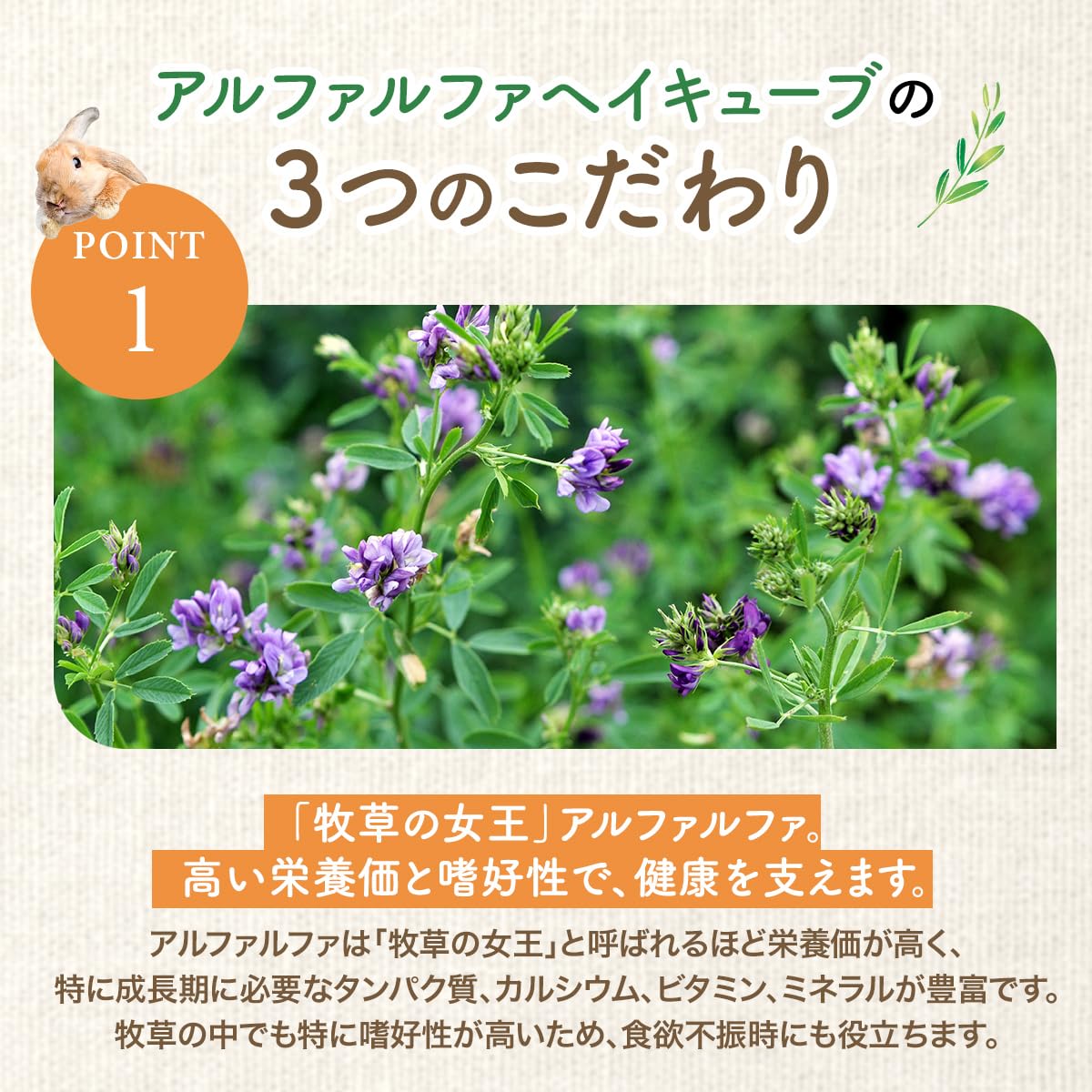 Amazon | SMILE PET CLUB アルファルファ ヘイキューブ 3kg 牧草