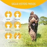 Ver la foto 3