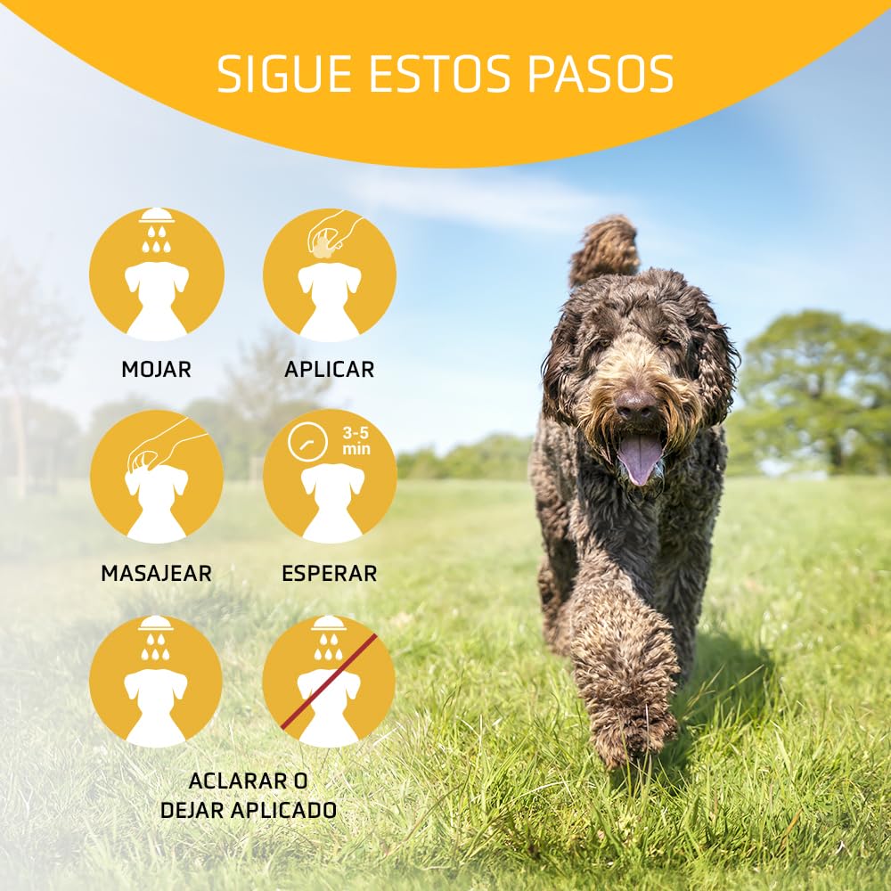 Artero Ikon Vital. Acondicionador para Perros. Hidrata, suaviza y Protege el Manto. Enriquecido con Avena, Ideal para Pieles sensibles y mantos con Nudos o Tendencia al encrespamiento. (5000 ml)