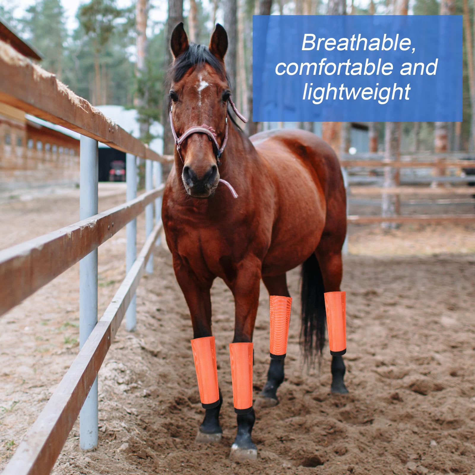 24 botas de malla para caballo, botas de malla transpirable, botas protectoras para piernas ecuestres, leggings sueltos para evitar moscas y picaduras de mosquitos (S)