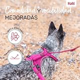 Ver la foto 6