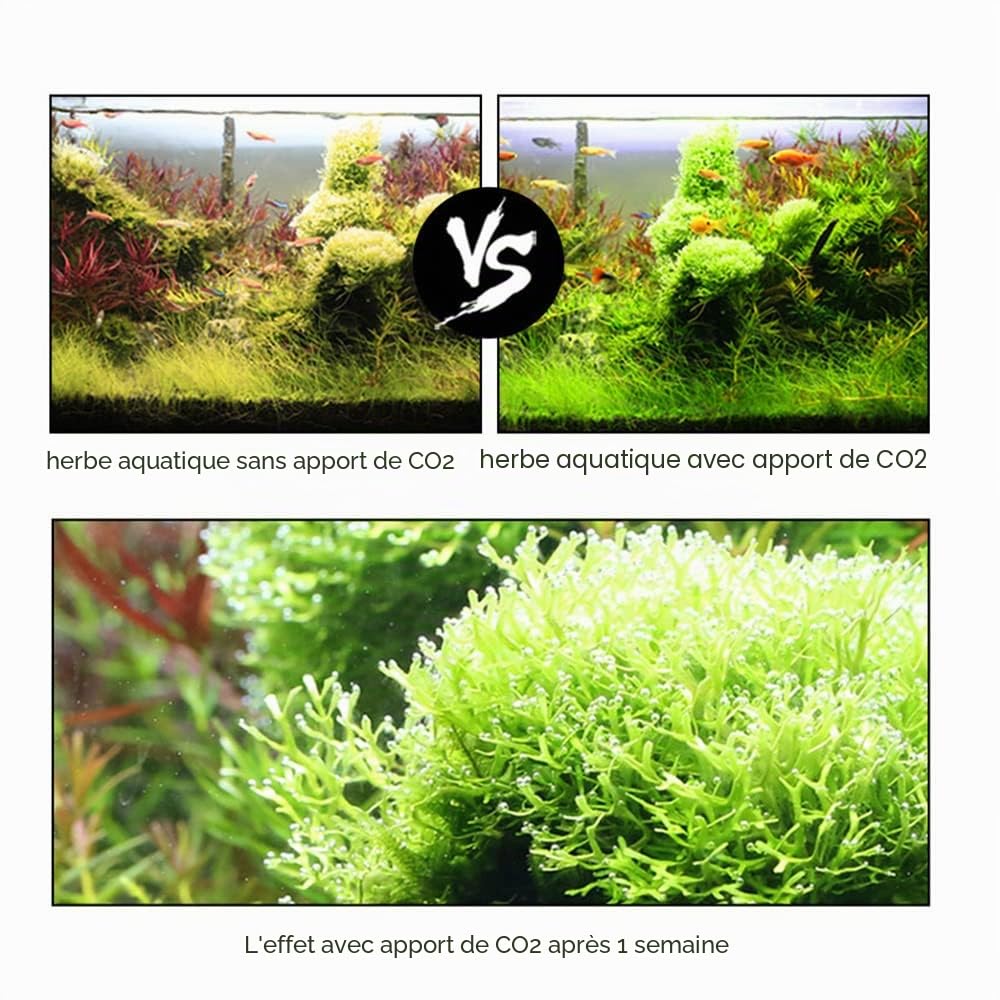 Système Générateur de CO₂, 5L Système CO₂ pour Double Aquarium | Kit Réacteur à Dioxyde de Carbone avec Bouteille en Acier Inoxydable Électrovanne Compteur de Bulles Fétendeur