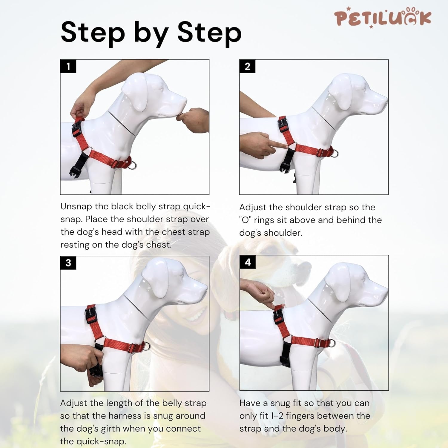 Premium No-Pull Dog Harness with Leash | Adjustable, Comfortable, and Durable | Stop Pulling Instantly | Front-Leash Attachment for Easy Control Red (Medium)