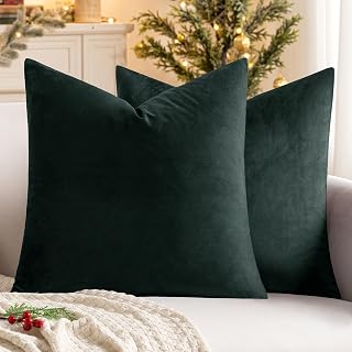 MIULEE Velvet Soft Decorative Square Pillowcase for Living Room Sofa | Throw Pillow Case Cushion Cover for Living Room Sofa Bedroom with Invisible Zipper