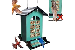 Blue Jay Feeder Squirrel Proof: A Haven for Feathered Friends