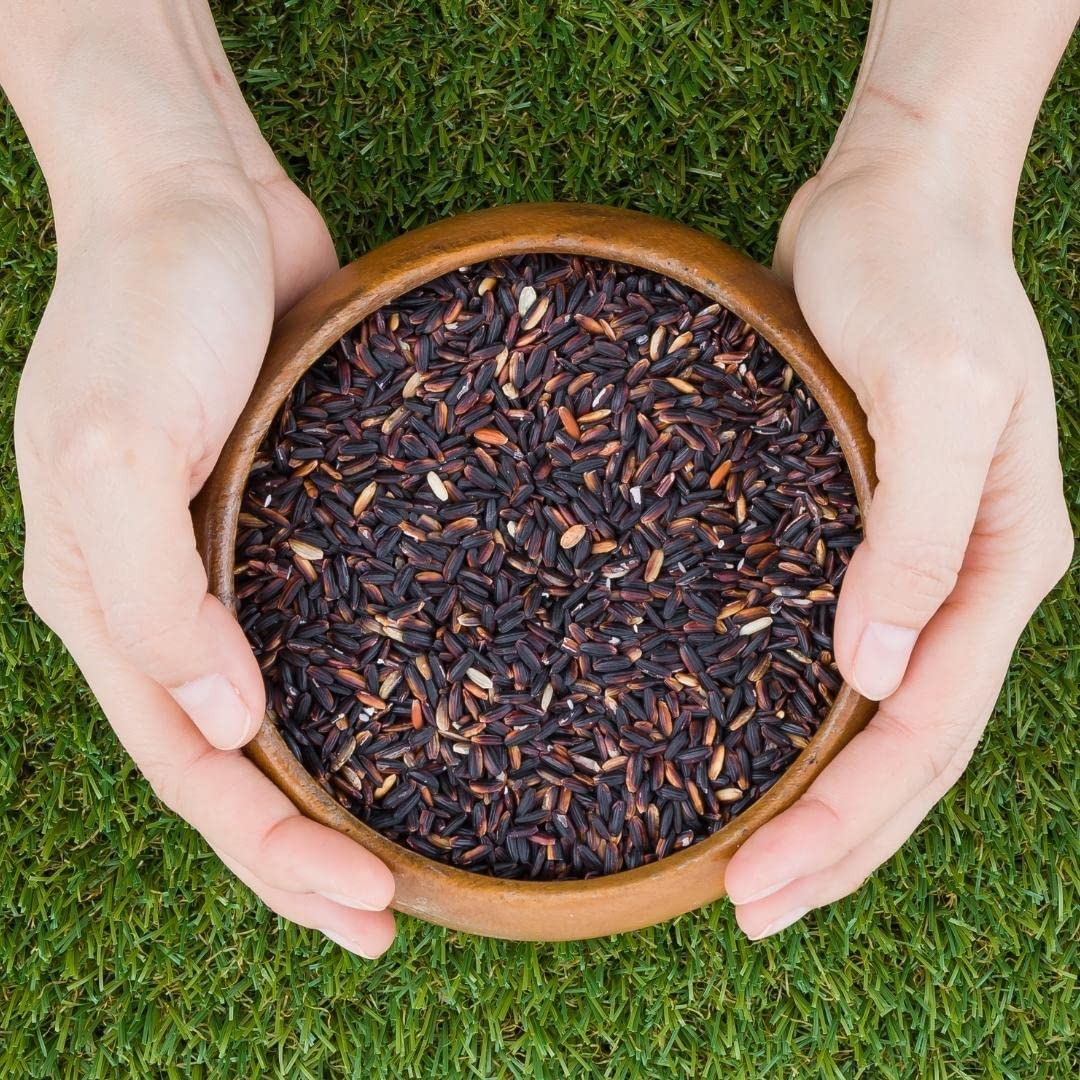 ROYAL THAI RICE - Colle adhésive noire (3 x 1 kg)