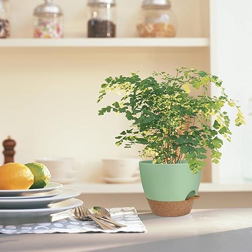 Miniatura 5 de UUBEMM Macetas de riego automático con agujeros de drenaje, juego de 3 macetas de plástico con depósito profundo para plantas de flores de jardín de