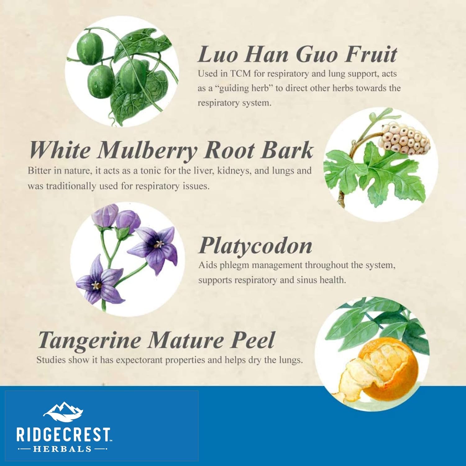 Ridgecrest Herbals ClearLungs Immune, 60 Cap : Health & Household