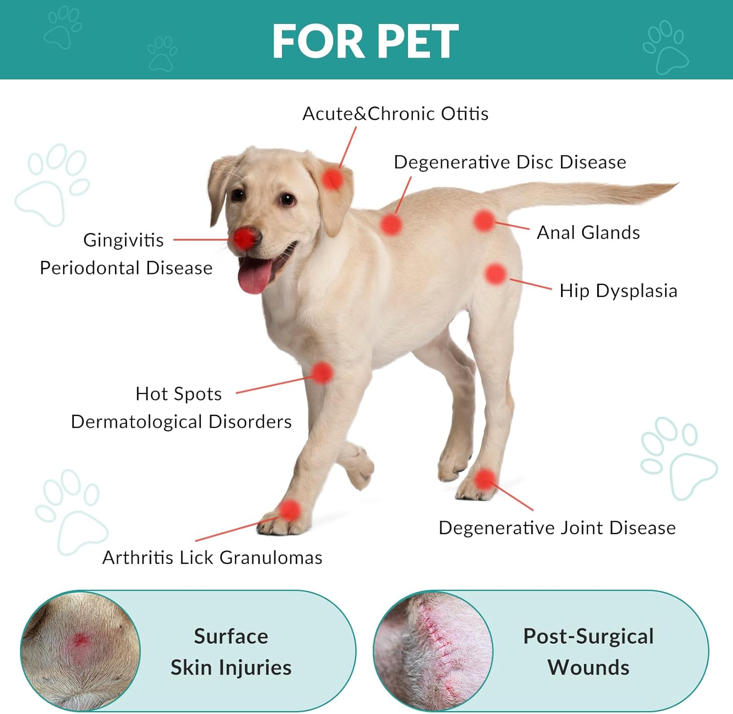 Dog Red Light Laser Therapy Device, 4x808nm+16x650nm, Cold Laser Therapy Devices for Pain Relief, Red Light Laser Therapy for Dog Arthritis, Home Vet Light Therapy Device for Dogs, Cats