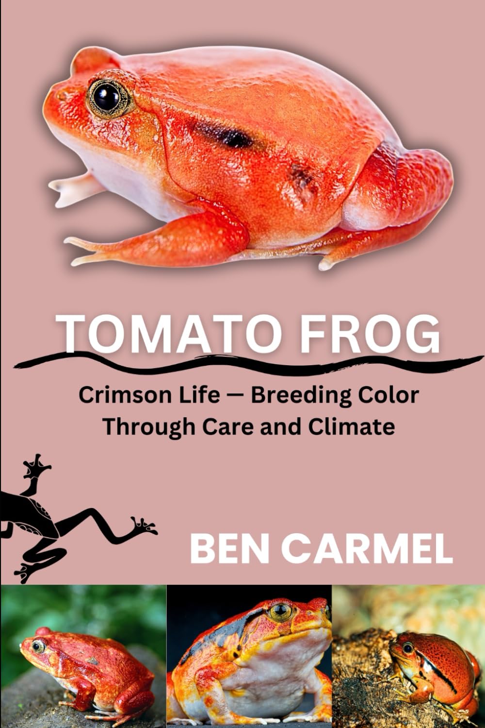 TOMATO FROG: Crimson Life — Breeding Color Through Care and Climate