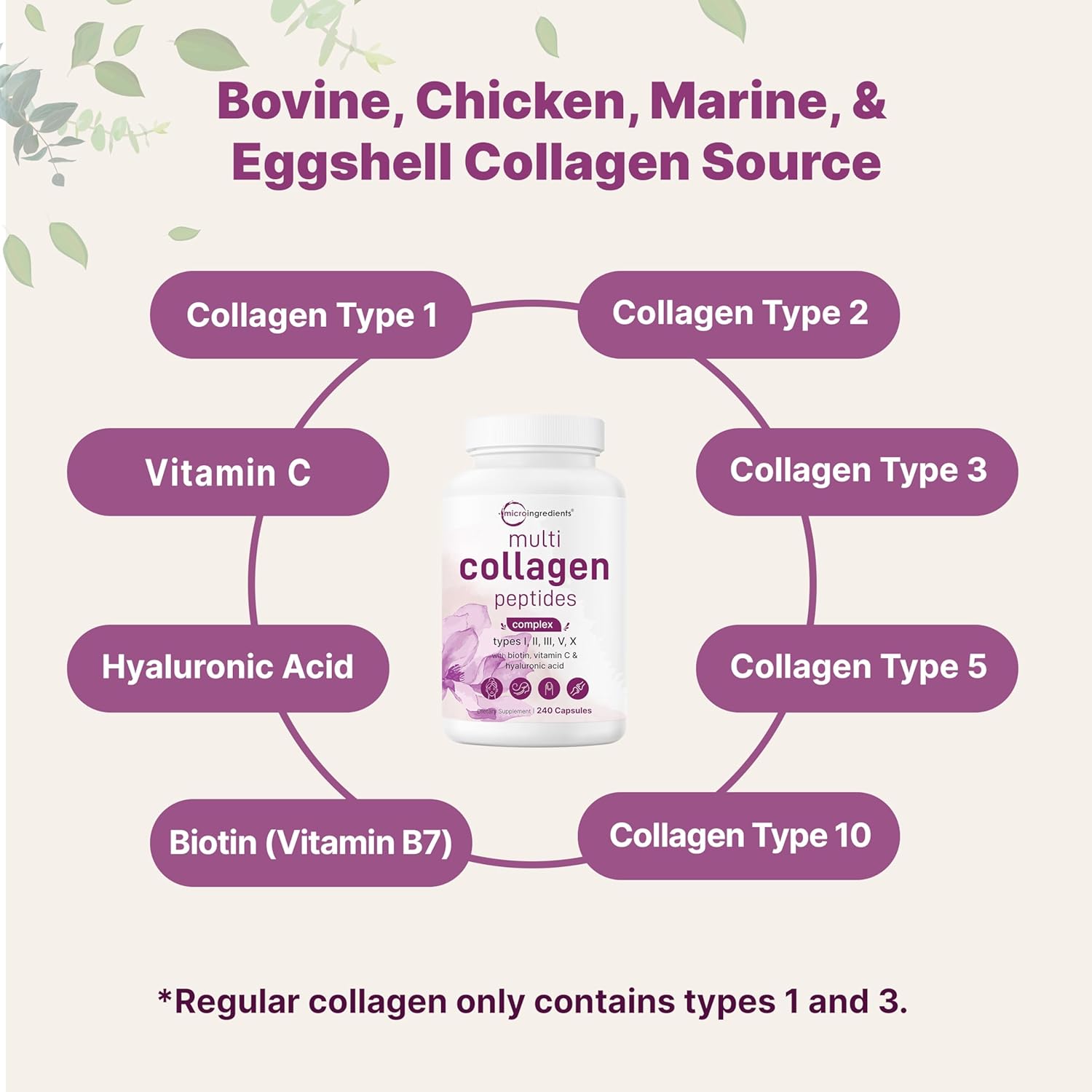 Micro Ingredients 2 Pack Multi Collagen Pills for Women & Men, 480 Capsules | Type I, II, III, V, X | Hydrolyzed Protein Peptides with Biotin, Hyaluronic Acid, & Vitamin C | Keto & Paleo Friendly - Image 3