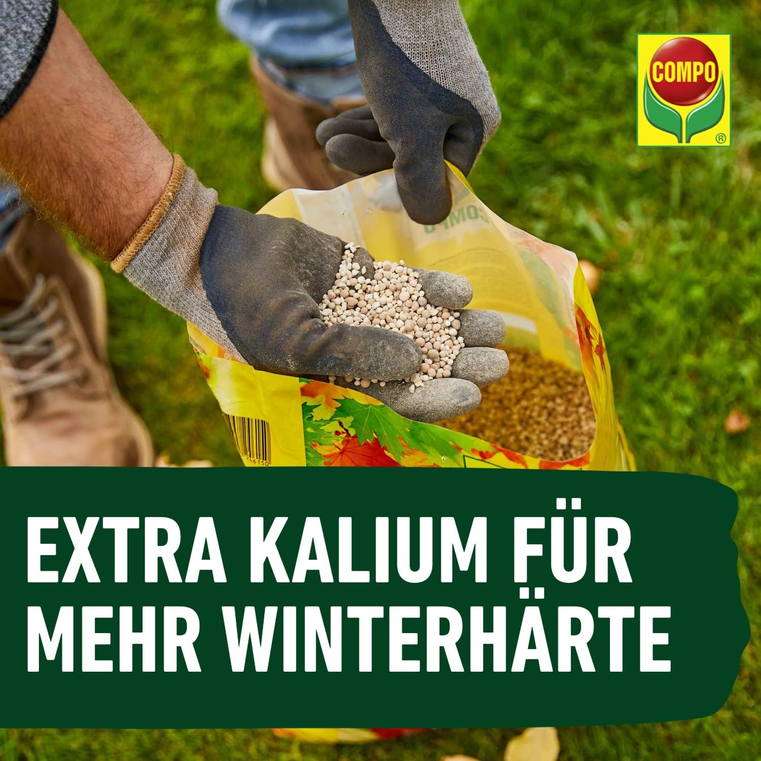 COMPO Herbstrasendünger mit Kalium 10 kg für 500m² Langzeitwirkung 3 Monate