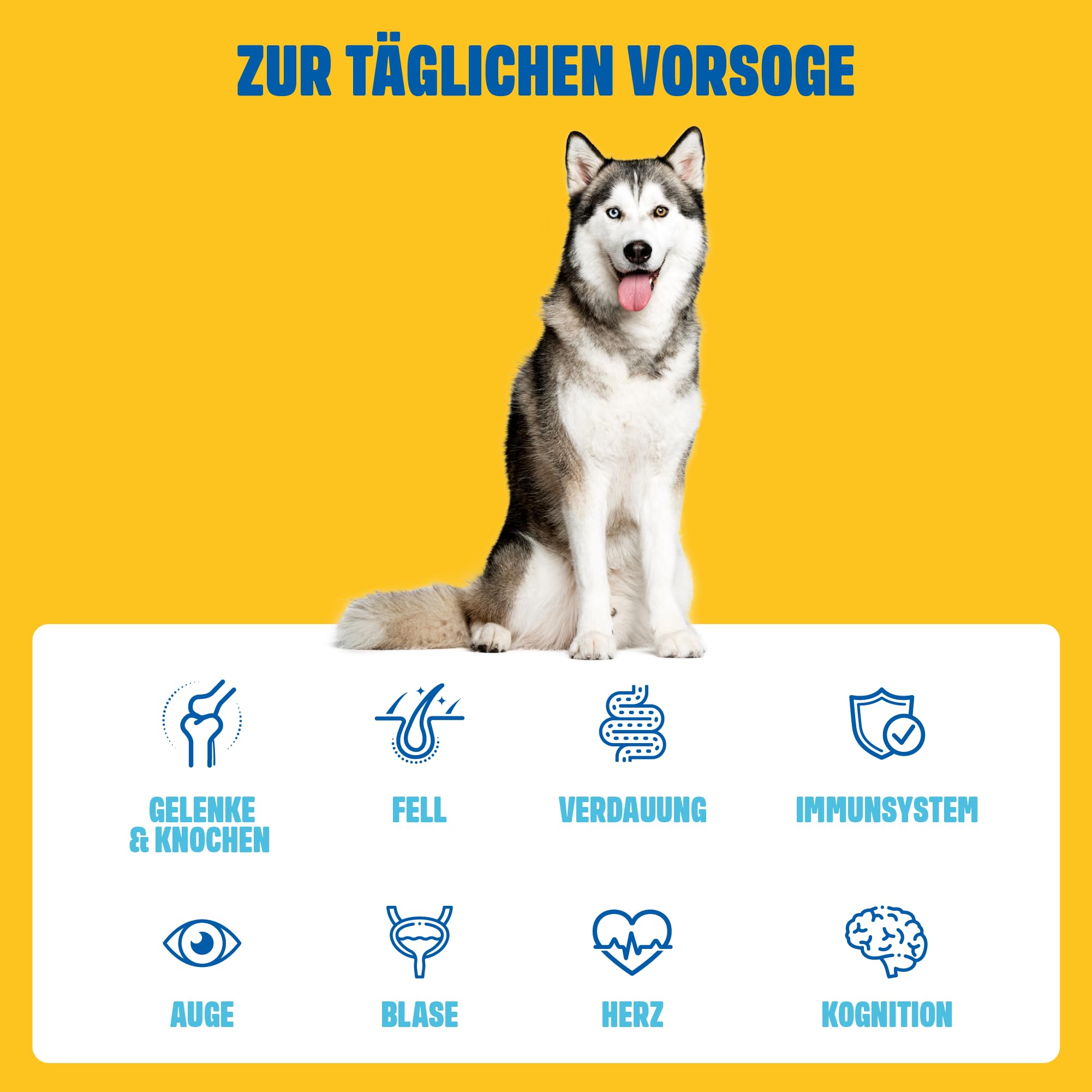 ivvi Multivitamin für Hunde als Leckerli – Rundumversorgung mit Probiotika, B Vitamine, Omega 3, Grünlippmuschel, Cranberry - 60 Snacks (270g) mit Huhn