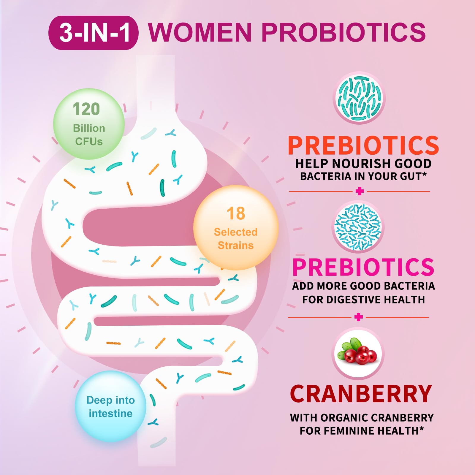 OMOGS Women's Probiotic, with Cranberry Extract, Organic Prebiotics & Vitamin C, 120 Billion CFUs,18 Strains, Help for Boost Immune, Digestive, Gut Health & Women's Health,120 Tablets — Amazon image 3