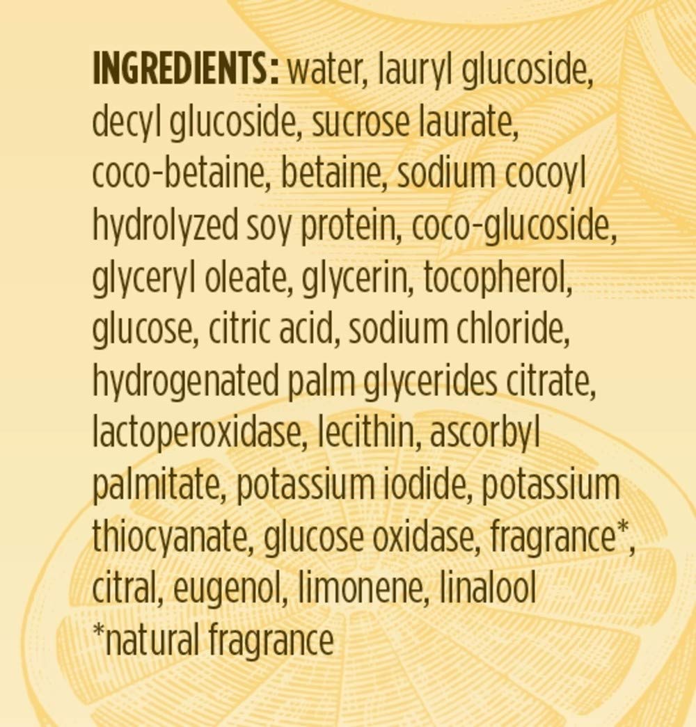 Burt's Bees Extra Energizing Citrus and Ginger Body Wash - 12 Ounce Bottle