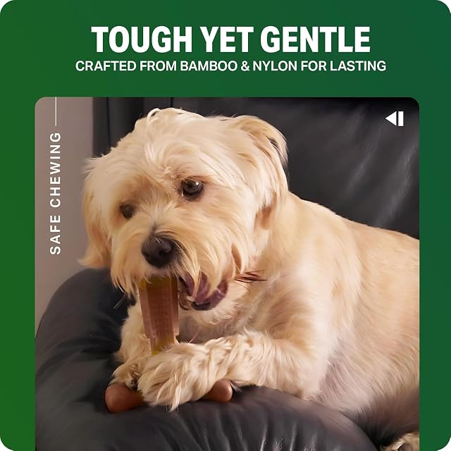 Foto 6 de 7 de Bamboodles T-Bone - Masticable para Perros para los masticadores más agresivos