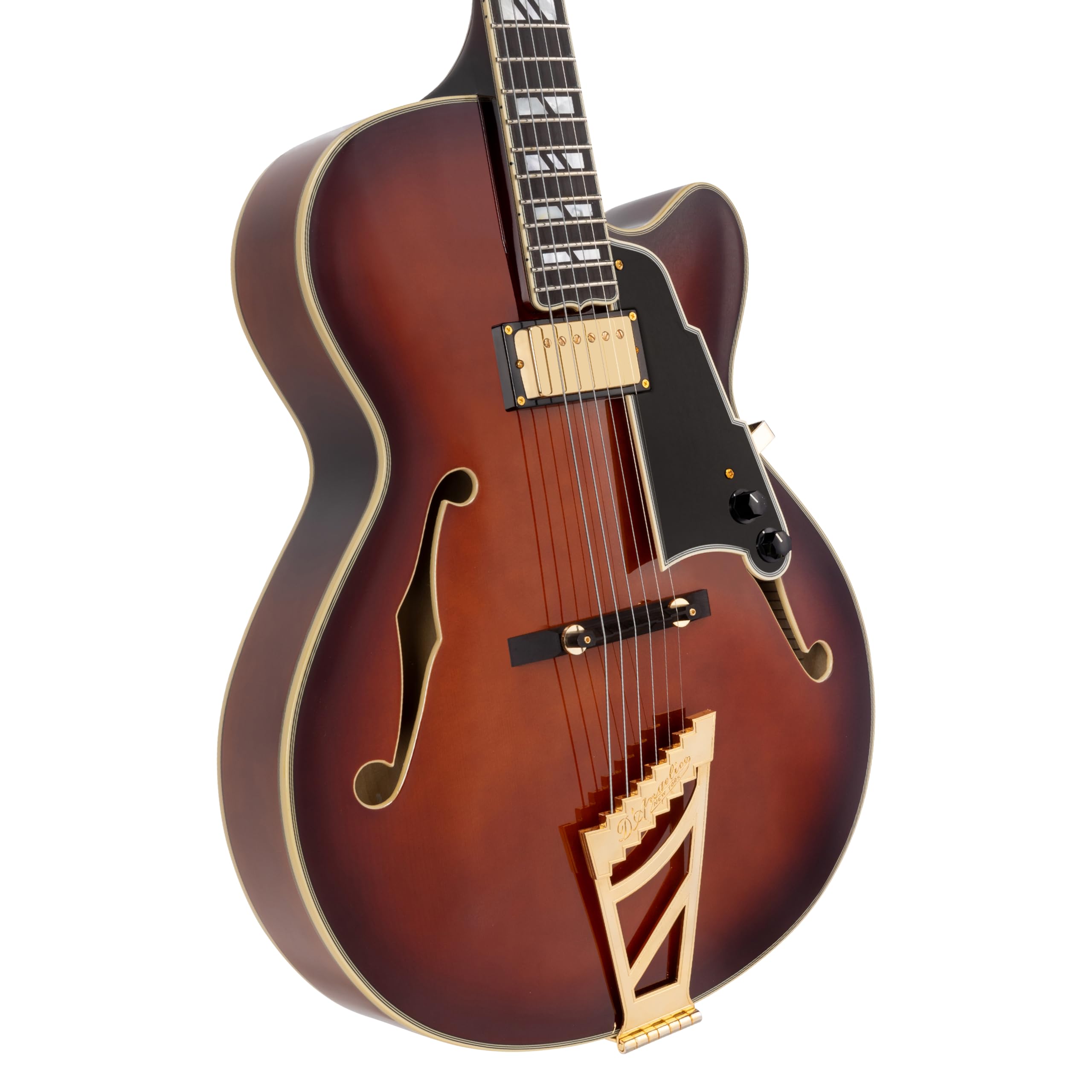 Amazon.com: D'Angelico Excel 16 Hollowbody Electric Guitar