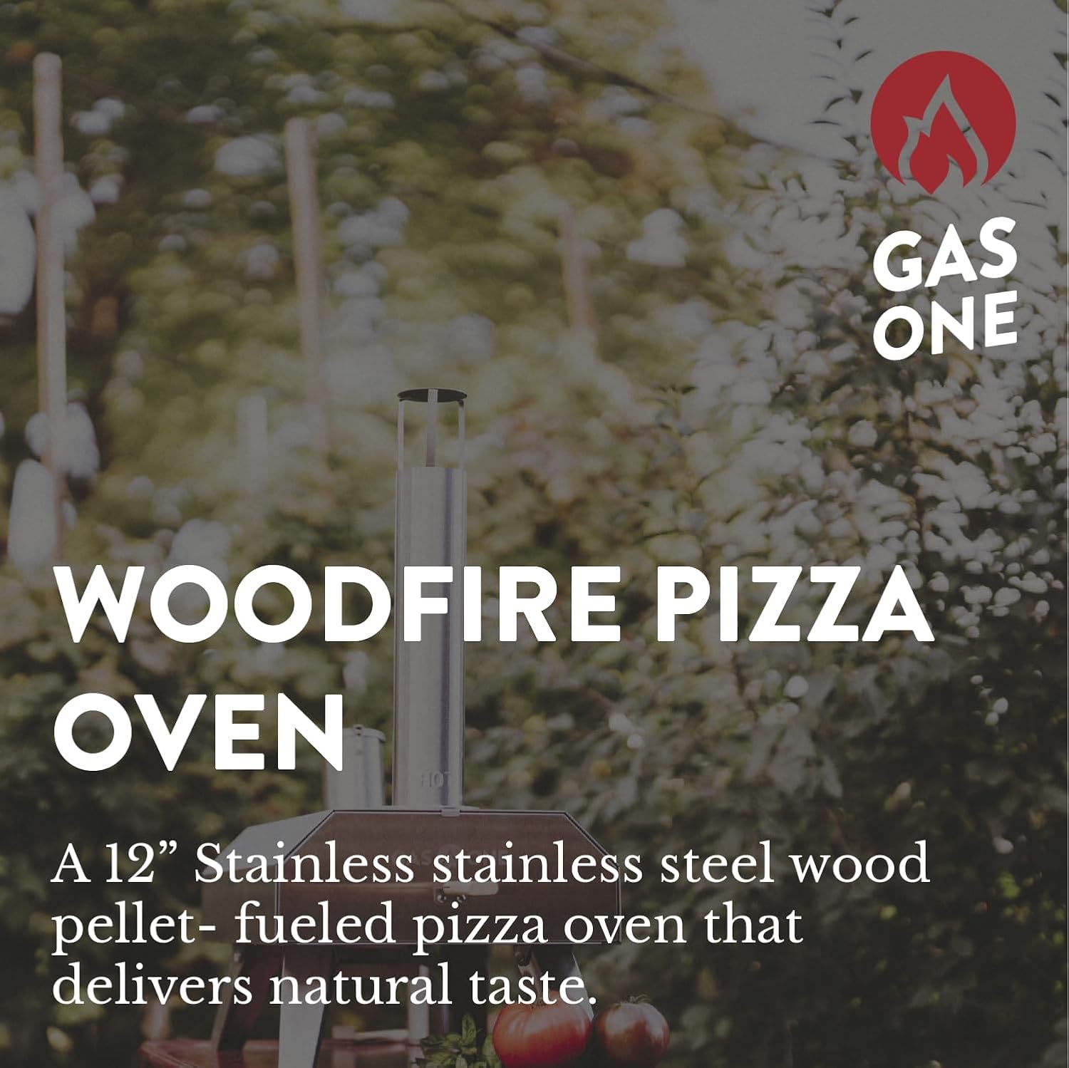 GasOne PZW-12A Forno per pizza a pellet di legno da 30,5 cm per pizza da 30,5 cm, portatile, in acciaio inox, portatile, per feste, cortili, campeggio