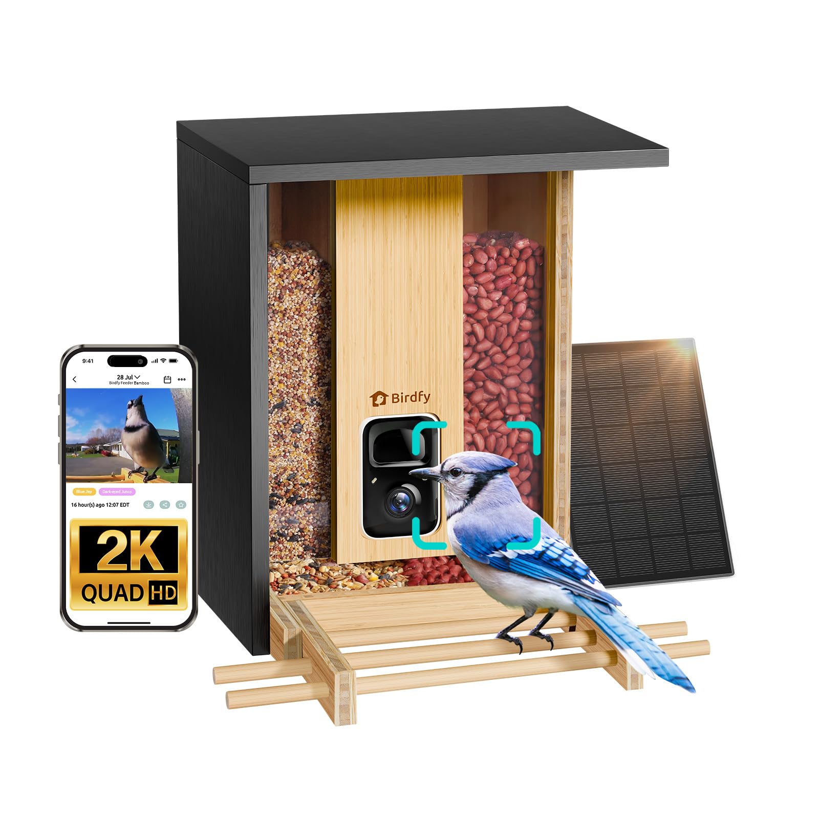 Birdfy Bamboo