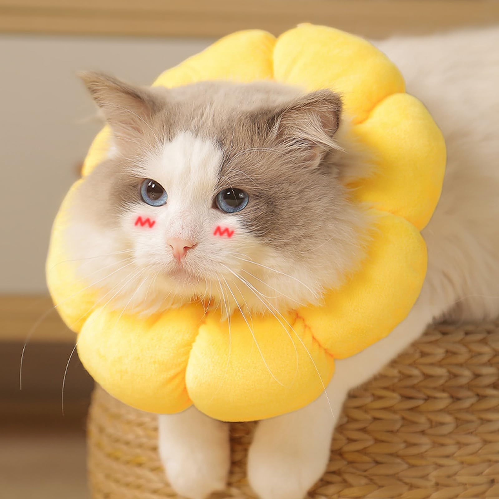 Collarín Gato Ajustable para Pequeños Animales después de Cirugía, Suave Girasol Restauración