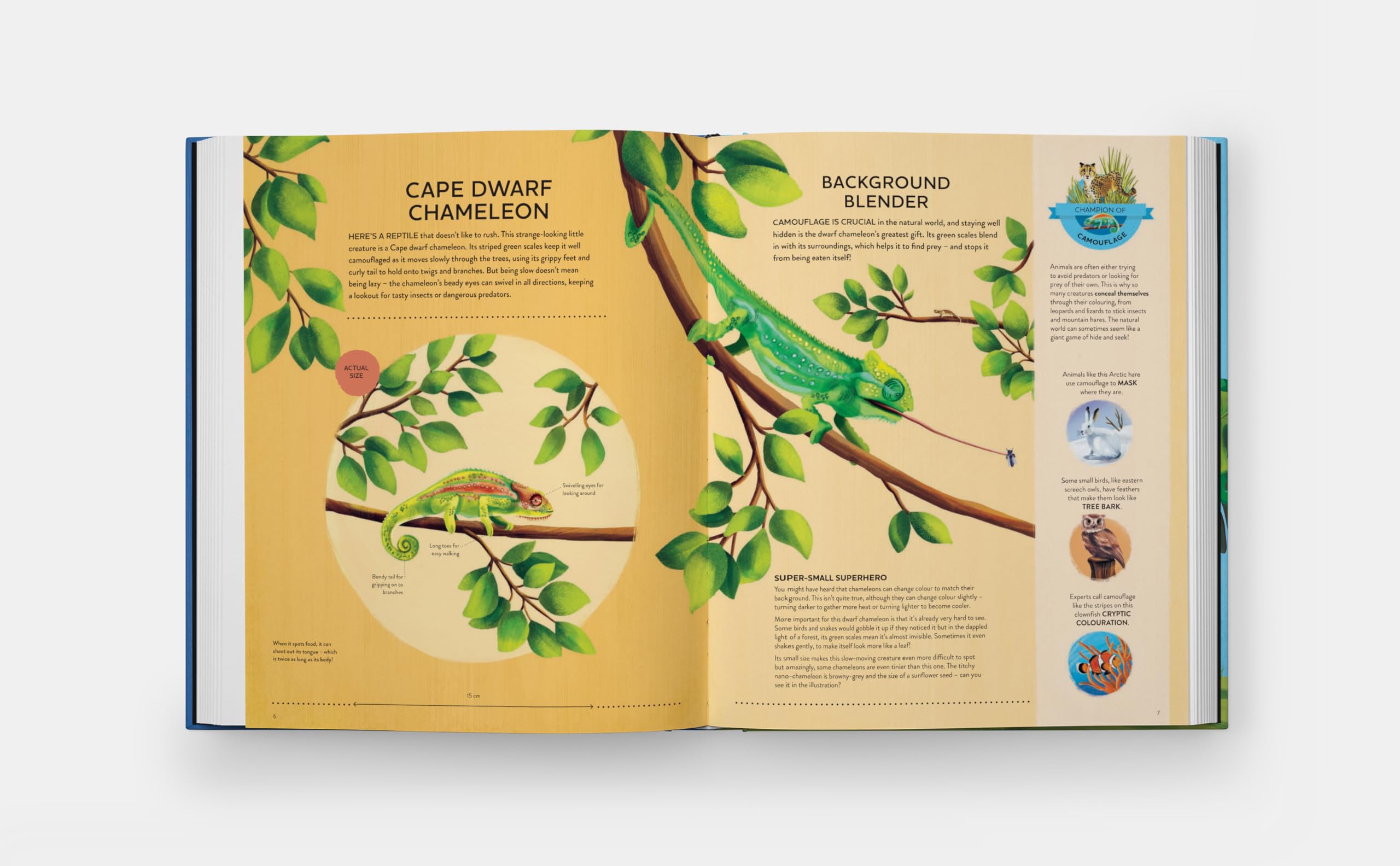 Nature's tiny champions: The Big Book of Little Creatures Doing Mighty Things