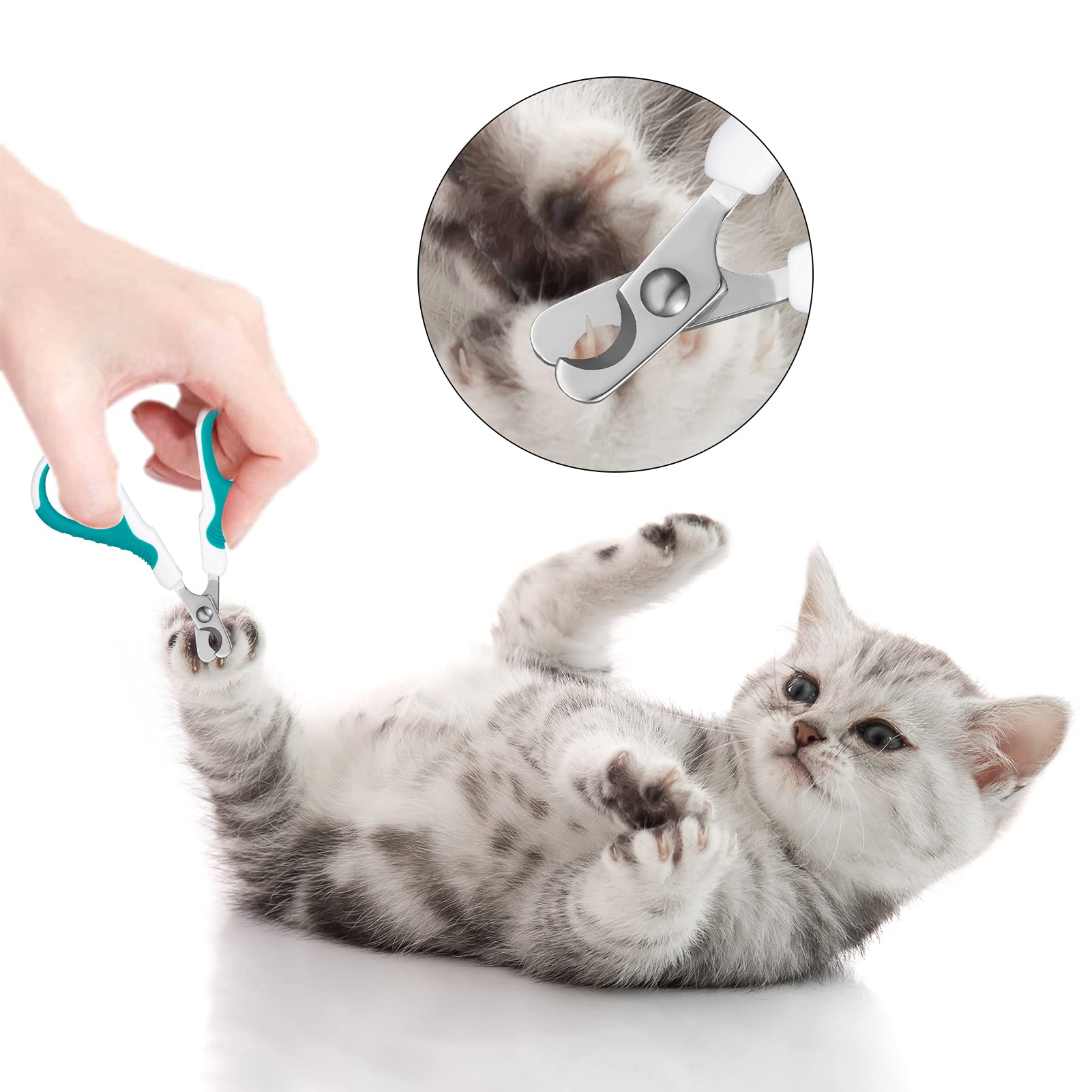 SUSSURRO Coupe Griffes Chat Professionnels, Coupe Ongle Animaux de Compagnie pour Chiots, Chatons, Cochons d'Inde, Oiseaux, Hamsters et Lapins, Ciseaux à Ongles Courbe en Acier Inoxydable